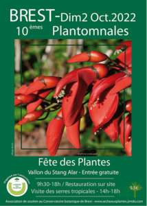 vitrail - fête des plantes